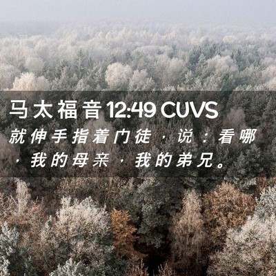 Picture 02 - 马 太 福 音 12:49 CUVS - 就 伸 手 指 着 门 徒 ， 说 ： 看 哪 - Bible Verse Picture