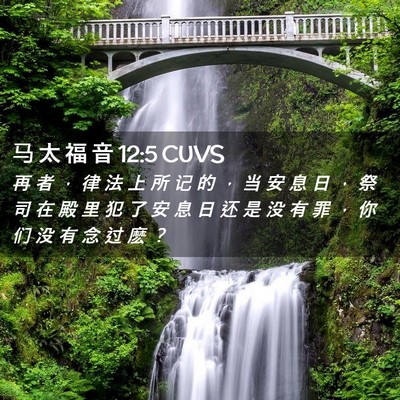 Picture 02 - 马 太 福 音 12:5 CUVS - 再 者 ， 律 法 上 所 记 的 ， 当 安 - Bible Verse Picture