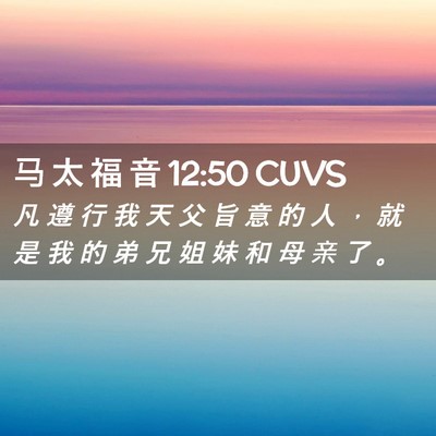 Picture 02 - 马 太 福 音 12:50 CUVS - 凡 遵 行 我 天 父 旨 意 的 人 ， 就 - Bible Verse Picture