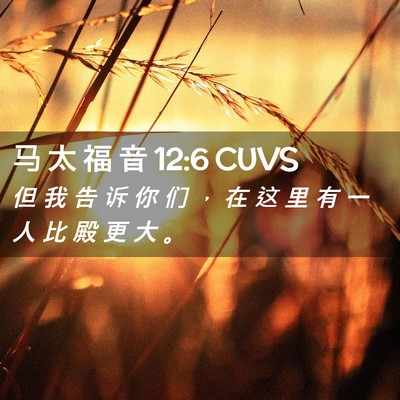 Picture 02 - 马 太 福 音 12:6 CUVS - 但 我 告 诉 你 们 ， 在 这 里 有 一 - Bible Verse Picture