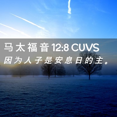 Picture 02 - 马 太 福 音 12:8 CUVS - 因 为 人 子 是 安 息 日 的 主 - Bible Verse Picture
