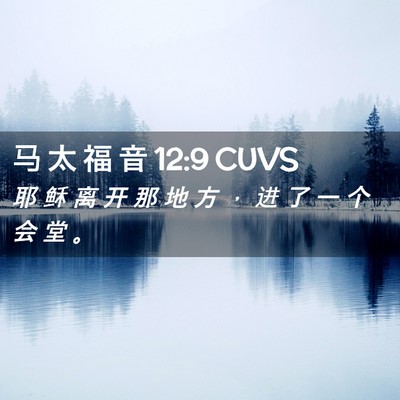 Picture 02 - 马 太 福 音 12:9 CUVS - 耶 稣 离 开 那 地 方 ， 进 了 一 个 - Bible Verse Picture