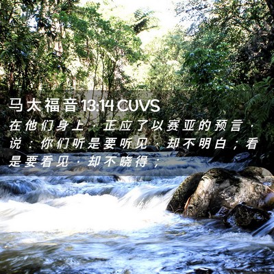 Picture 02 - 马 太 福 音 13:14 CUVS - 在 他 们 身 上 ， 正 应 了 以 赛 亚 - Bible Verse Picture