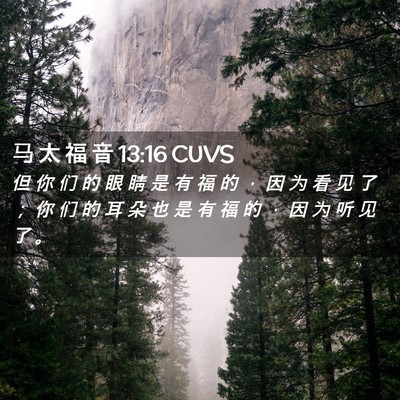 Picture 02 - 马 太 福 音 13:16 CUVS - 但 你 们 的 眼 睛 是 有 福 的 ， 因 - Bible Verse Picture