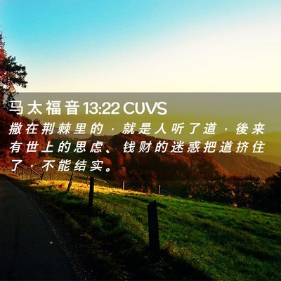 Picture 02 - 马 太 福 音 13:22 CUVS - 撒 在 荆 棘 里 的 ， 就 是 人 听 了 - Bible Verse Picture