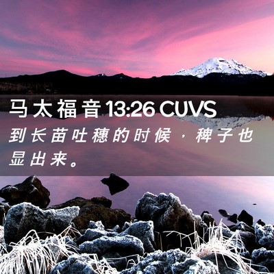 Picture 02 - 马 太 福 音 13:26 CUVS - 到 长 苗 吐 穗 的 时 候 ， 稗 子 也 - Bible Verse Picture