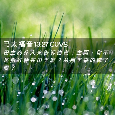 Picture 02 - 马 太 福 音 13:27 CUVS - 田 主 的 仆 人 来 告 诉 他 说 ： 主 - Bible Verse Picture