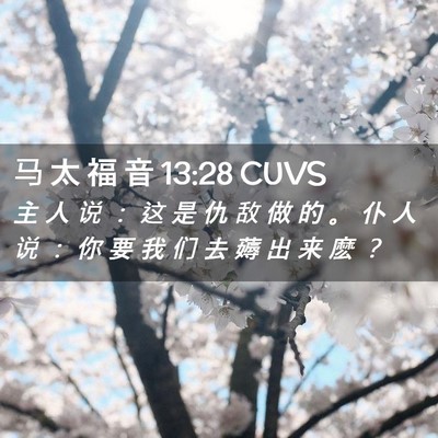 Picture 02 - 马 太 福 音 13:28 CUVS - 主 人 说 ： 这 是 仇 敌 做 的 。 仆 - Bible Verse Picture