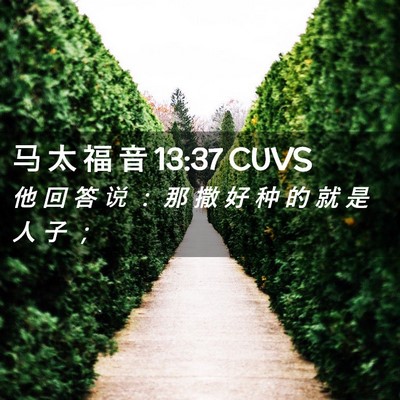 Picture 02 - 马 太 福 音 13:37 CUVS - 他 回 答 说 ： 那 撒 好 种 的 就 是 - Bible Verse Picture