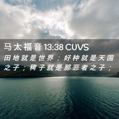 Picture 02 - 马 太 福 音 13:38 CUVS - 田 地 就 是 世 界 ； 好 种 就 是 天 - Bible Verse Picture