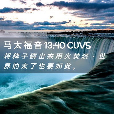 Picture 02 - 马 太 福 音 13:40 CUVS - 将 稗 子 薅 出 来 用 火 焚 烧 ， 世 - Bible Verse Picture