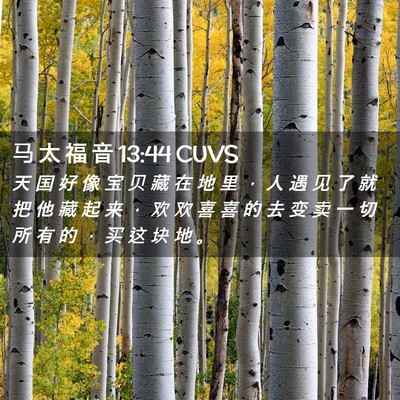 Picture 02 - 马 太 福 音 13:44 CUVS - 天 国 好 像 宝 贝 藏 在 地 里 ， 人 - Bible Verse Picture