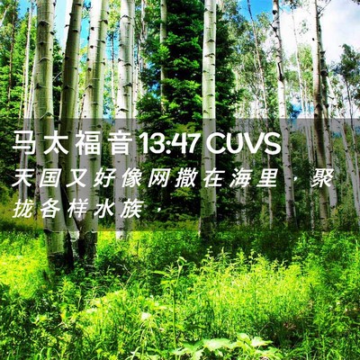 Picture 02 - 马 太 福 音 13:47 CUVS - 天 国 又 好 像 网 撒 在 海 里 ， 聚 - Bible Verse Picture