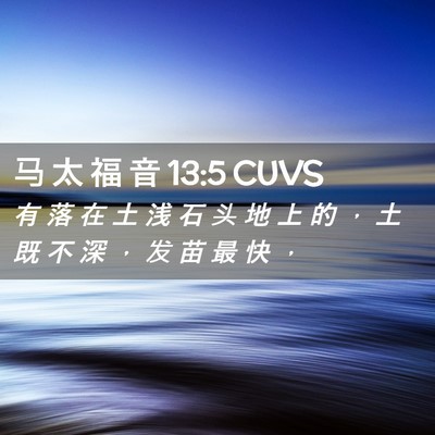Picture 02 - 马 太 福 音 13:5 CUVS - 有 落 在 土 浅 石 头 地 上 的 ， 土 - Bible Verse Picture