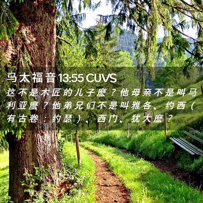 Picture 02 - 马 太 福 音 13:55 CUVS - 这 不 是 木 匠 的 儿 子 麽 ？ 他 母 - Bible Verse Picture