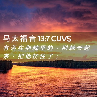 Picture 02 - 马 太 福 音 13:7 CUVS - 有 落 在 荆 棘 里 的 ， 荆 棘 长 起 - Bible Verse Picture