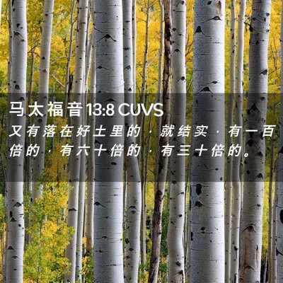 Picture 02 - 马 太 福 音 13:8 CUVS - 又 有 落 在 好 土 里 的 ， 就 结 实 - Bible Verse Picture