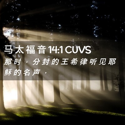 Picture 02 - 马 太 福 音 14:1 CUVS - 那 时 ， 分 封 的 王 希 律 听 见 耶 - Bible Verse Picture