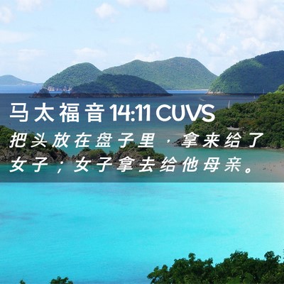 Picture 02 - 马 太 福 音 14:11 CUVS - 把 头 放 在 盘 子 里 ， 拿 来 给 了 - Bible Verse Picture