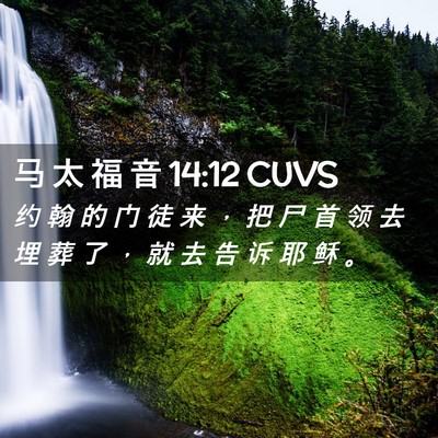 Picture 02 - 马 太 福 音 14:12 CUVS - 约 翰 的 门 徒 来 ， 把 尸 首 领 去 - Bible Verse Picture