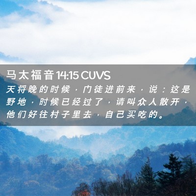 Picture 02 - 马 太 福 音 14:15 CUVS - 天 将 晚 的 时 候 ， 门 徒 进 前 来 - Bible Verse Picture