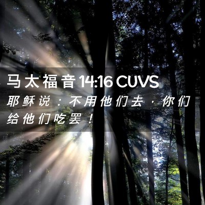 Picture 02 - 马 太 福 音 14:16 CUVS - 耶 稣 说 ： 不 用 他 们 去 ， 你 们 - Bible Verse Picture