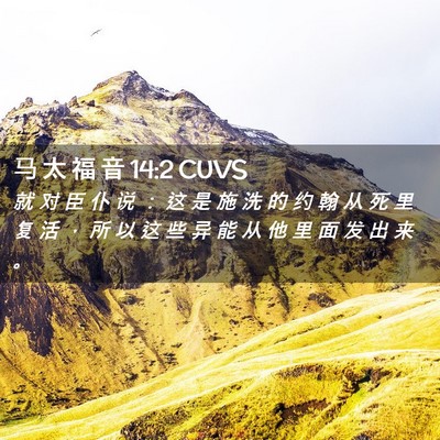 Picture 02 - 马 太 福 音 14:2 CUVS - 就 对 臣 仆 说 ： 这 是 施 洗 的 约 - Bible Verse Picture