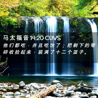 Picture 02 - 马 太 福 音 14:20 CUVS - 他 们 都 吃 ， 并 且 吃 饱 了 ； 把 - Bible Verse Picture