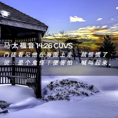 Picture 02 - 马 太 福 音 14:26 CUVS - 门 徒 看 见 他 在 海 面 上 走 ， 就 - Bible Verse Picture