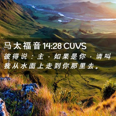 Picture 02 - 马 太 福 音 14:28 CUVS - 彼 得 说 ： 主 ， 如 果 是 你 ， 请 - Bible Verse Picture