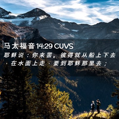 Picture 02 - 马 太 福 音 14:29 CUVS - 耶 稣 说 ： 你 来 罢 。 彼 得 就 从 - Bible Verse Picture