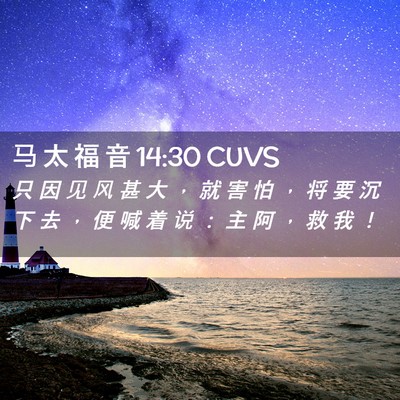 Picture 02 - 马 太 福 音 14:30 CUVS - 只 因 见 风 甚 大 ， 就 害 怕 ， 将 - Bible Verse Picture