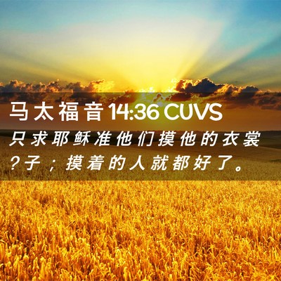 Picture 02 - 马 太 福 音 14:36 CUVS - 只 求 耶 稣 准 他 们 摸 他 的 衣 裳 ? - Bible Verse Picture