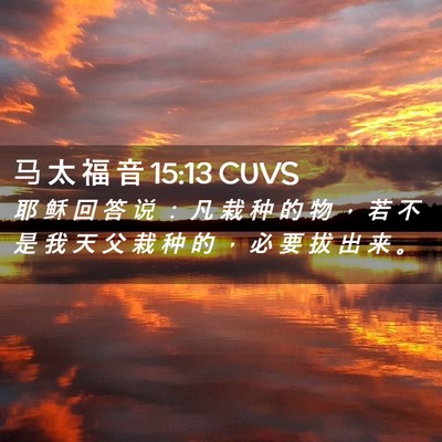 Picture 02 - 马 太 福 音 15:13 CUVS - 耶 稣 回 答 说 ： 凡 栽 种 的 物 ， - Bible Verse Picture
