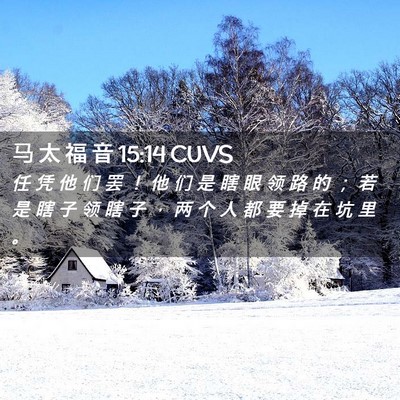 Picture 02 - 马 太 福 音 15:14 CUVS - 任 凭 他 们 罢 ！ 他 们 是 瞎 眼 领 - Bible Verse Picture