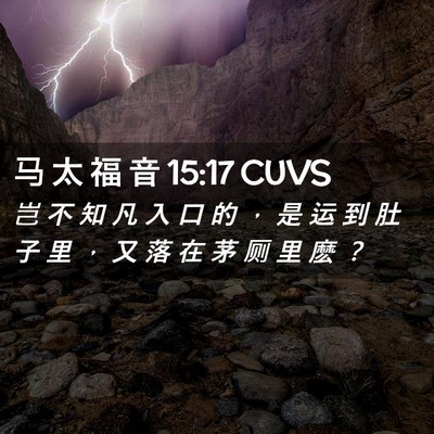 Picture 02 - 马 太 福 音 15:17 CUVS - 岂 不 知 凡 入 口 的 ， 是 运 到 肚 - Bible Verse Picture