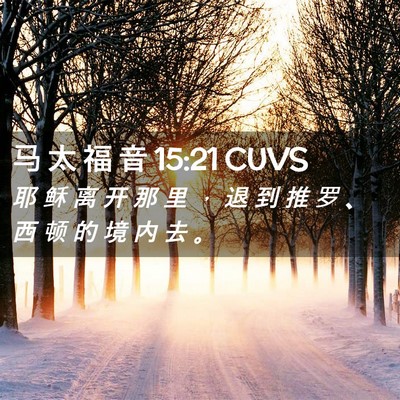 Picture 02 - 马 太 福 音 15:21 CUVS - 耶 稣 离 开 那 里 ， 退 到 推 罗 、 - Bible Verse Picture