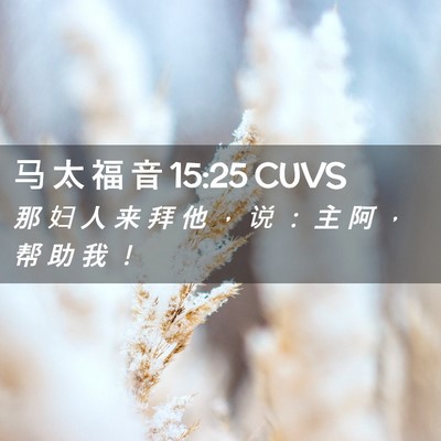 Picture 02 - 马 太 福 音 15:25 CUVS - 那 妇 人 来 拜 他 ， 说 ： 主 阿 ， - Bible Verse Picture