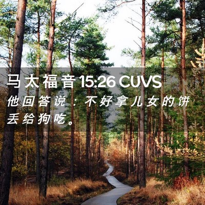 Picture 02 - 马 太 福 音 15:26 CUVS - 他 回 答 说 ： 不 好 拿 儿 女 的 饼 - Bible Verse Picture
