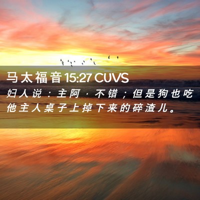 Picture 02 - 马 太 福 音 15:27 CUVS - 妇 人 说 ： 主 阿 ， 不 错 ； 但 是 - Bible Verse Picture