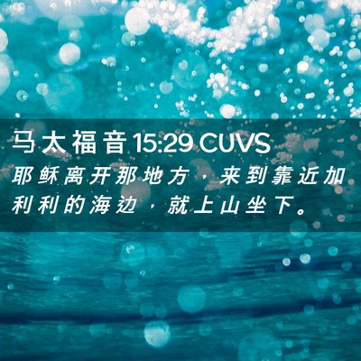 Picture 02 - 马 太 福 音 15:29 CUVS - 耶 稣 离 开 那 地 方 ， 来 到 靠 近 - Bible Verse Picture