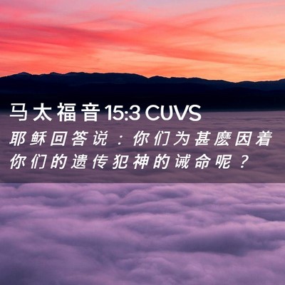 Picture 02 - 马 太 福 音 15:3 CUVS - 耶 稣 回 答 说 ： 你 们 为 甚 麽 因 - Bible Verse Picture