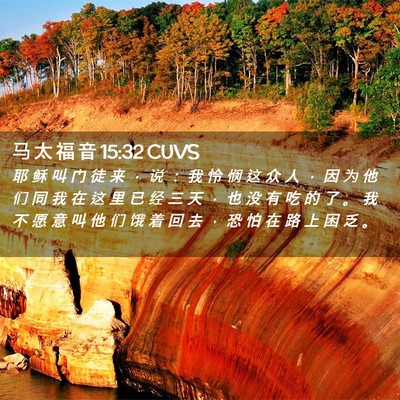 Picture 02 - 马 太 福 音 15:32 CUVS - 耶 稣 叫 门 徒 来 ， 说 ： 我 怜 悯 - Bible Verse Picture
