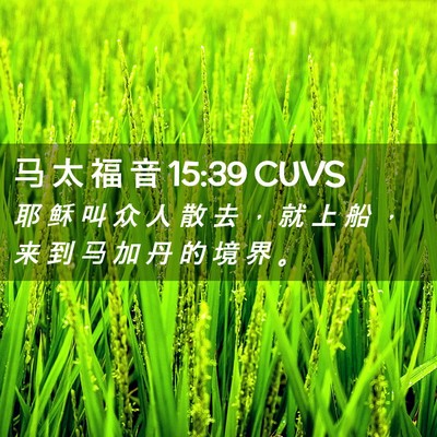 Picture 02 - 马 太 福 音 15:39 CUVS - 耶 稣 叫 众 人 散 去 ， 就 上 船 ， - Bible Verse Picture