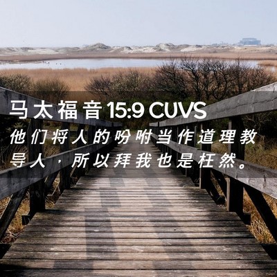 Picture 02 - 马 太 福 音 15:9 CUVS - 他 们 将 人 的 吩 咐 当 作 道 理 教 - Bible Verse Picture