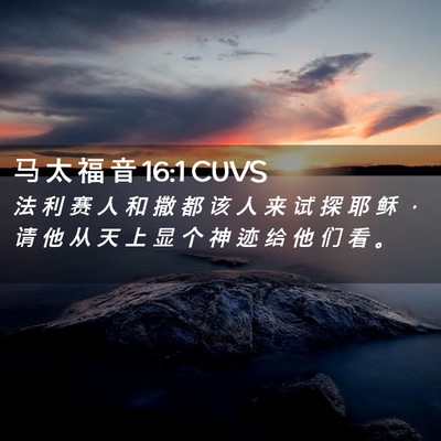 Picture 02 - 马 太 福 音 16:1 CUVS - 法 利 赛 人 和 撒 都 该 人 来 试 探 - Bible Verse Picture