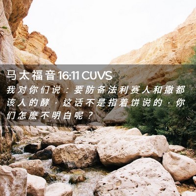 Picture 02 - 马 太 福 音 16:11 CUVS - 我 对 你 们 说 ： 要 防 备 法 利 赛 - Bible Verse Picture