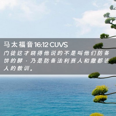 Picture 02 - 马 太 福 音 16:12 CUVS - 门 徒 这 才 晓 得 他 说 的 不 是 叫 - Bible Verse Picture