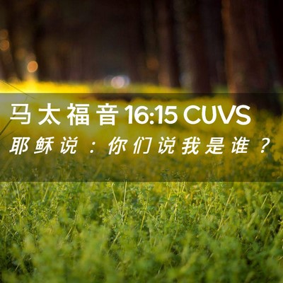 Picture 02 - 马 太 福 音 16:15 CUVS - 耶 稣 说 ： 你 们 说 我 是 谁 - Bible Verse Picture