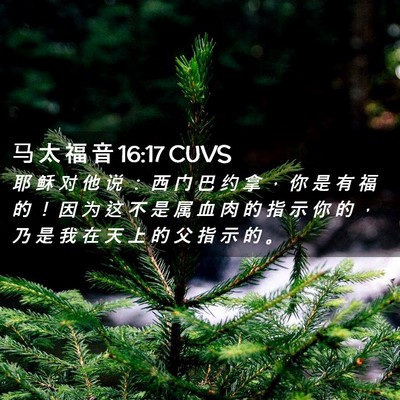 Picture 02 - 马 太 福 音 16:17 CUVS - 耶 稣 对 他 说 ： 西 门 巴 约 拿 ， - Bible Verse Picture